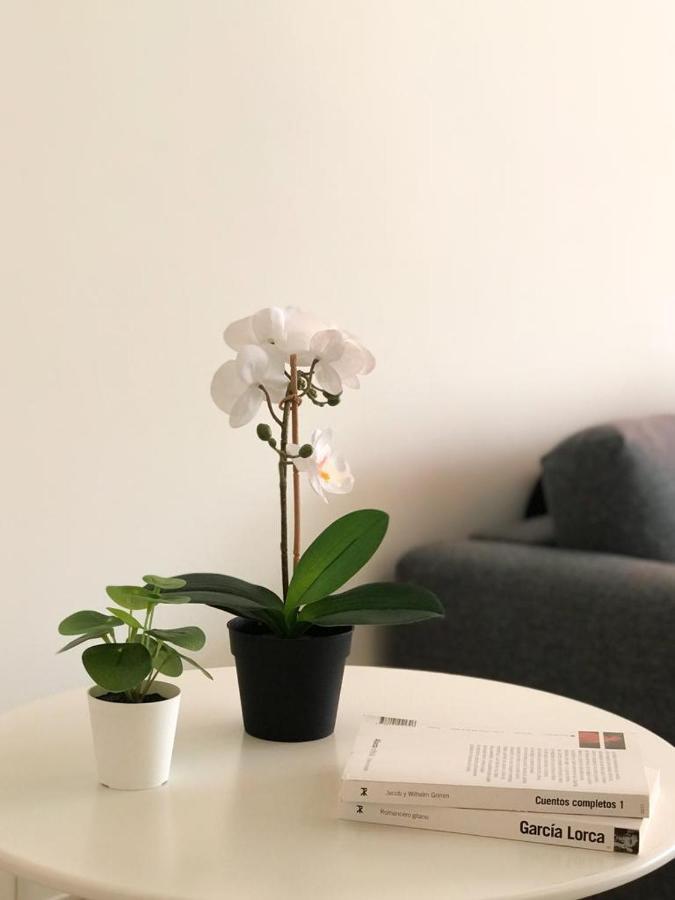 Carihuela Beach Suite Apartment 托雷莫利诺斯 外观 照片